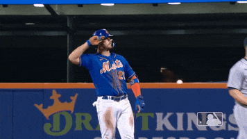 Excited Ny Mets GIF by New York Mets