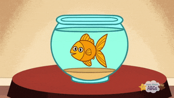 #supersimplelearning #supersimpleabcs #goldfish #cute GIF by Super Simple