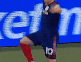 Chicago Fire Sport GIF by Major League Soccer