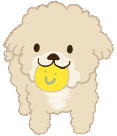 Salt Poodle Sticker