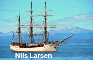 Nils Larsen GIF