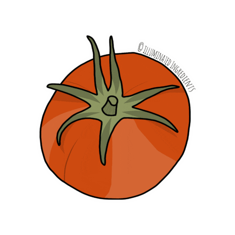 Tomato Sticker
