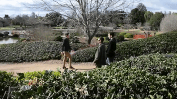 200.gif?cid=fc005b086c813f9270ffc98b88dcff6d3f797b25df686116&rid=200.gif&ct=g