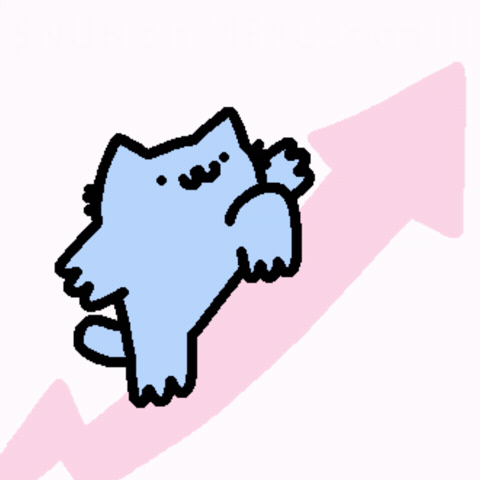 Spainnubcat GIF