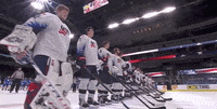 Saluting Team Usa GIF by USA Hockey Saluting Team Usa GIF by USA Hockey