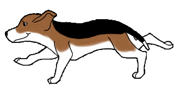 Dog Argentina Sticker