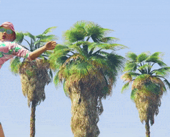 Gta Georgelopezshow GIF
