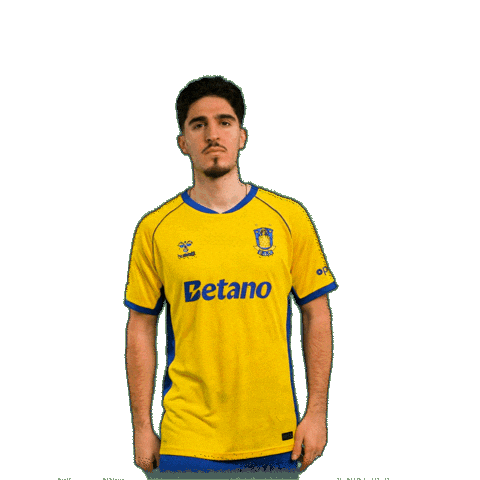 Goalcelebration Sejr Sticker by Brøndby IF