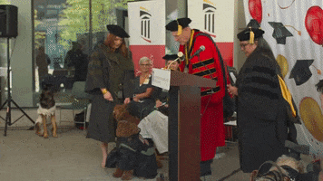 High Five Pharmacy School GIF by University of Maryland, Baltimore