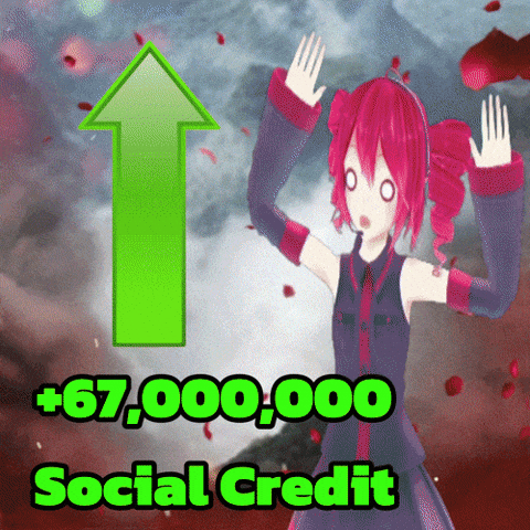 China Social Credit GIF