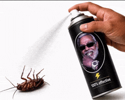 Modi Bjp GIF