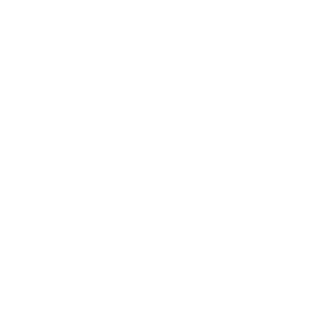 Ring City USA Sticker