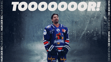Celebration Goal GIF by Iserlohn Roosters