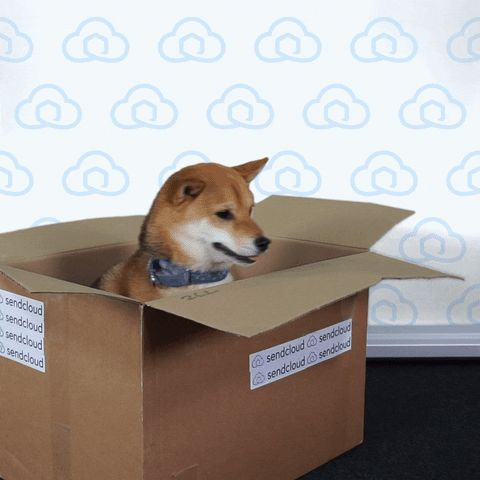 Shiba Inu Dog GIF by Sendcloud