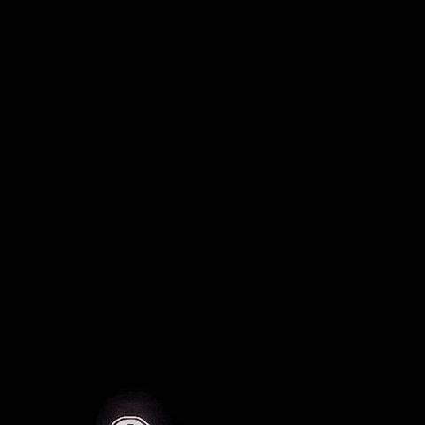 Bleach Edit GIF