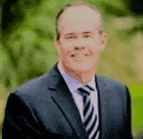 Don Dirren GIF