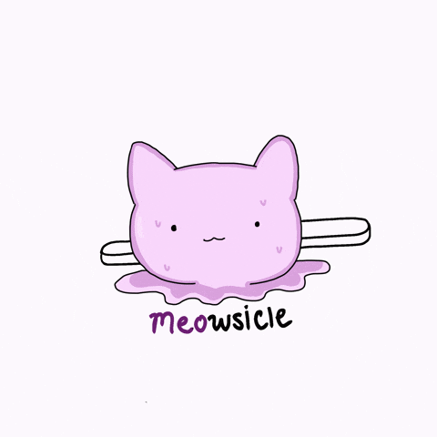 Cat GIF