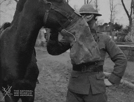 Black And White Footage GIF by National WWI Museum and Memorial