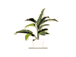 Cornelia Sticker