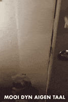 Kids Sing GIF by BigID