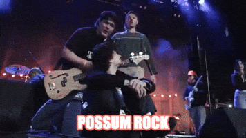 Possum Rock GIF by Cigarettes At Sunset
