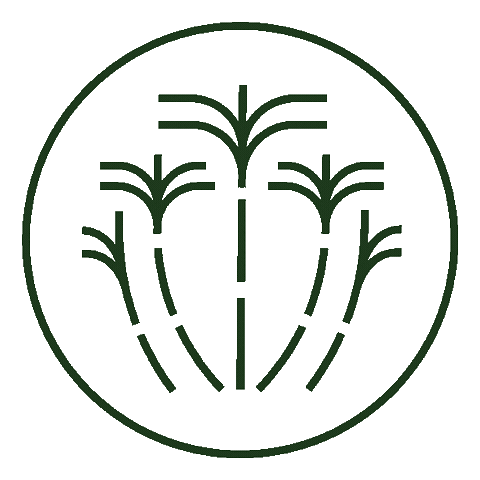 barcanadc Sticker