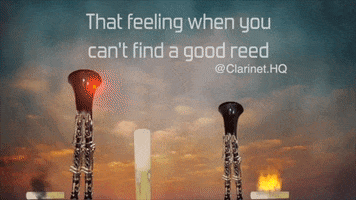 clarinethq angry fire band reed GIF
