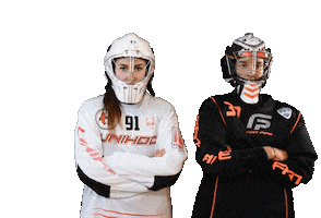 Floorball Sticker by Český florbal