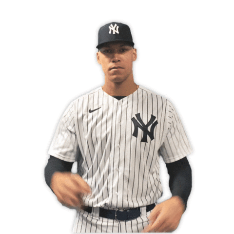 New York Baseball Sticker by New York Yankees