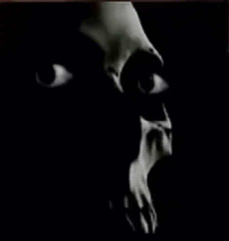 Xxcfggfsxvvx GIF