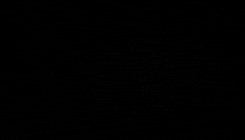 GIF by Pi Beta Phi Fraternity for Women