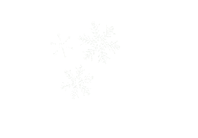 Effects Snowflake Sticker by DZ BANK AG