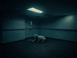 Disassociate GIF by Jutes