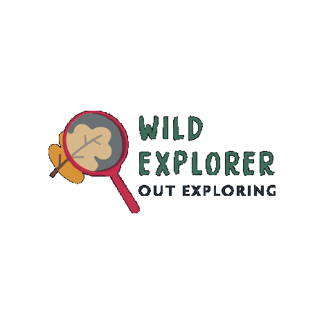 Frugi Wild Explorers Sticker by Frugi