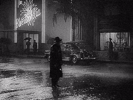 Raining The Blue Dahlia GIF