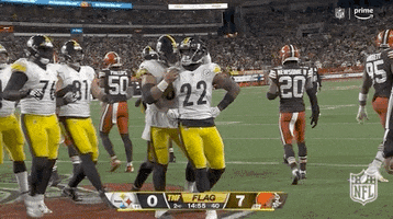 Be Quiet Pittsburgh Steelers GIF by NFL