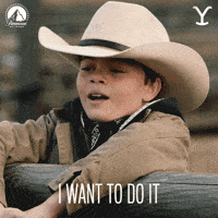 Paramount Network Try GIF by Yellowstone