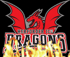 Red Dragon Hockey GIF by Herforder EV