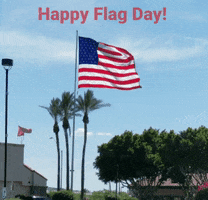 Happy Flag Day GIF by Lillian Wong