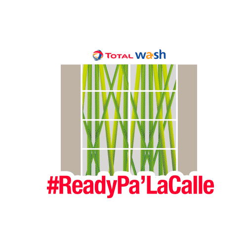 Car Wash Sticker by Total Dominicana