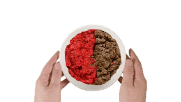 Foodie Craving Sticker by Scoopski Cookie Dough