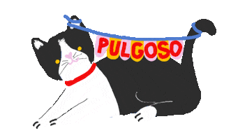 Gato Sticker