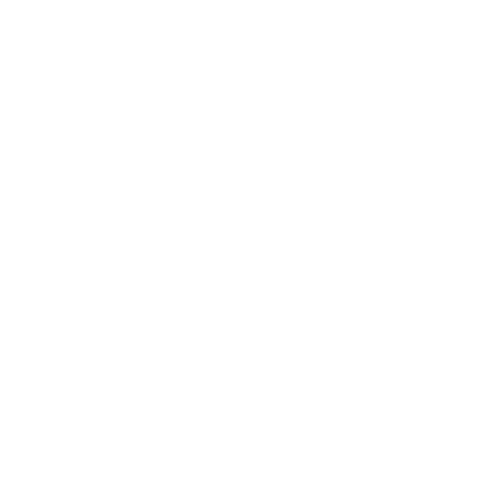Santos Andirá Sticker