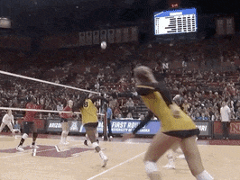 volleyball tigers GIF by NCAA Championships
