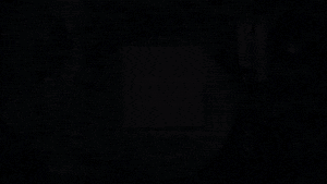 Governo do Estado de São Paulo GIF
