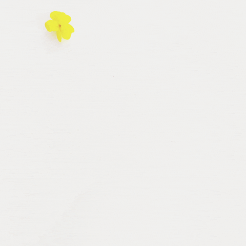 artisticanichis flowers yellow wood stopmotion GIF