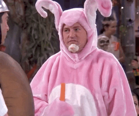 Season 8 Episode 6 GIF by Friends - Find & Share on GIPHY