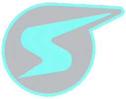 Workatsnap Sticker by Snap Raise