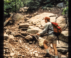 leave no trace conservation GIF by Adirondack Council