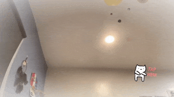 Game GIF